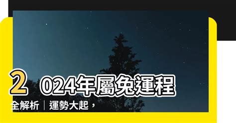 2024年兔運程|【2024 屬兔運程】免驚！2024年屬兔運勢全攻略 逆轉。